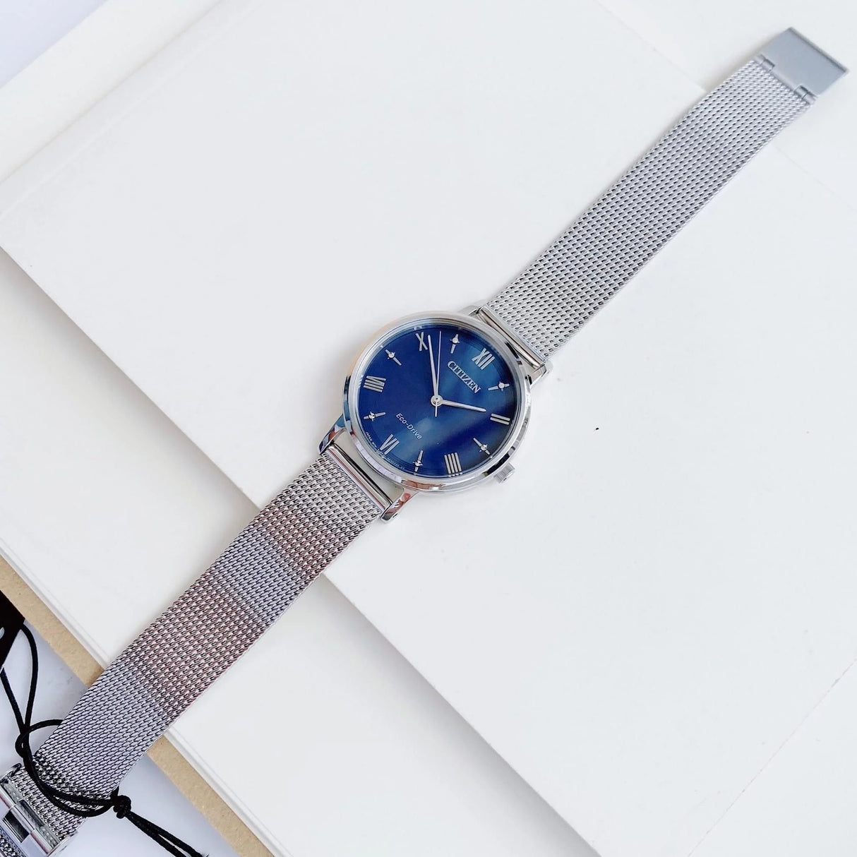 EM0571-59L Citizen Eco-Drive de dama pulsera mesh