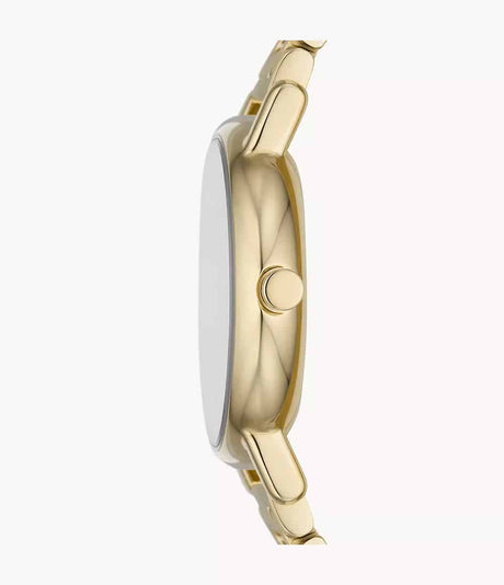 SKW3124 Reloj Skagen para mujer pulsera de metal