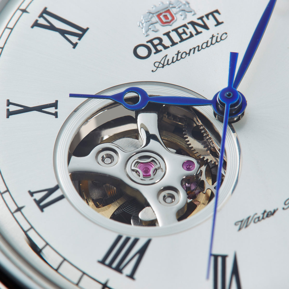 TAG00003W Orient Envoy de caballero pulsera de piel