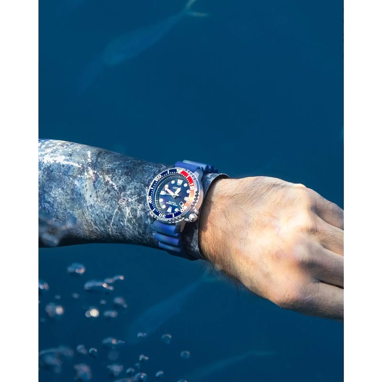 bn0168-06l Reloj Citizen Promaster Dive de caballero banda de resina 44 mm Eco-drive