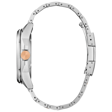 AW1726-55L Citizen Endicott de caballero pulsera de metal