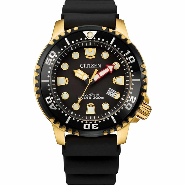 BN0152-06E Citizen Promaster Dive Reloj para caballero