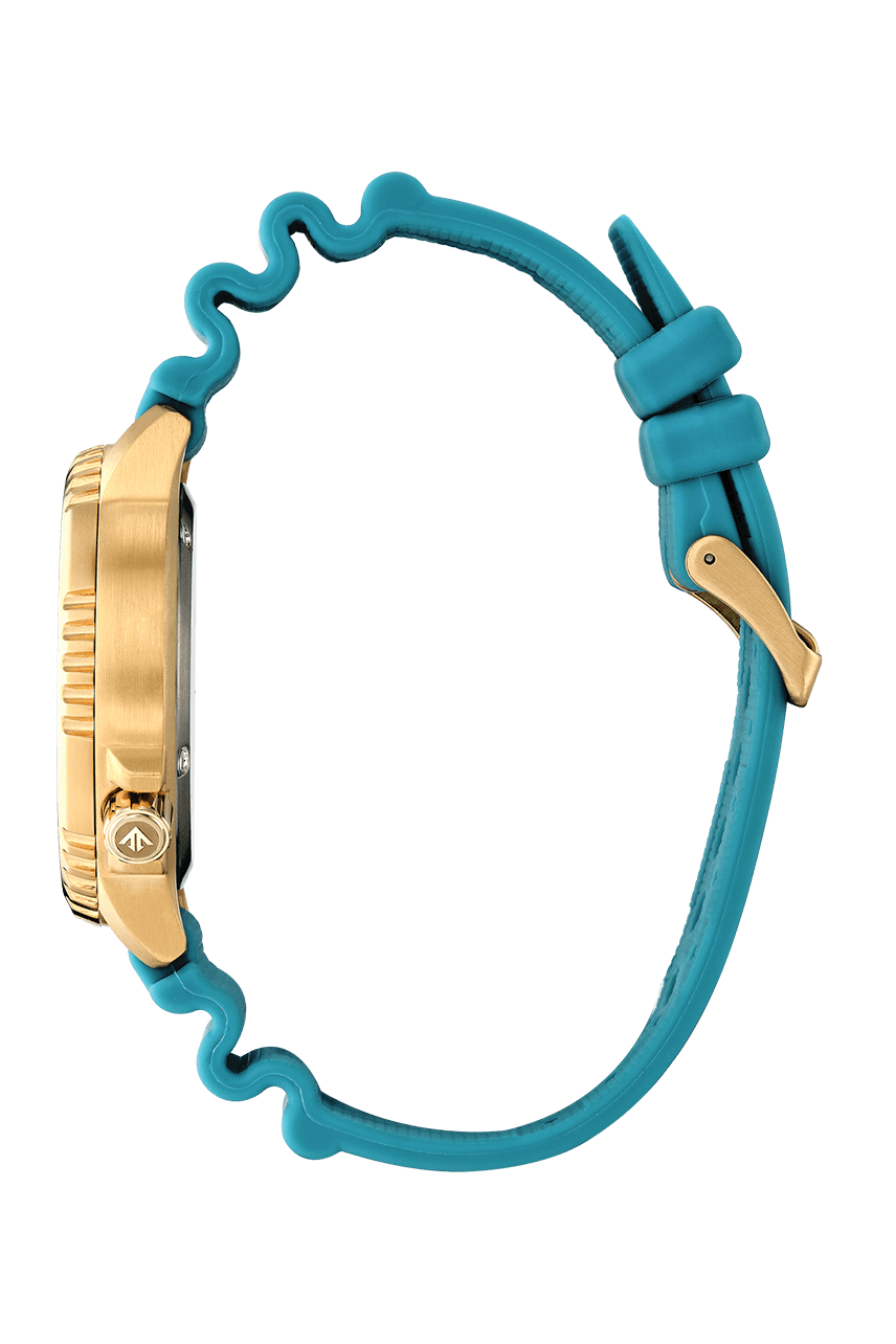 BN0162-02X Citizen Promaster de caballero pulsera de resina
