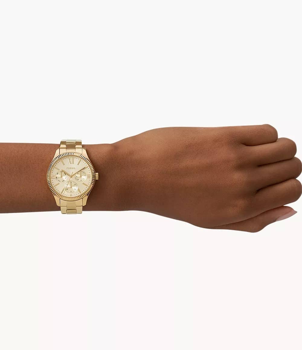 BQ3692 Fossil Rye Reloj para Mujer