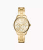 BQ3692 Fossil Rye Reloj para Mujer