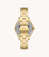 BQ3757 Fossil Reloj para Mujer