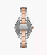 BQ3761 Fossil Rye Reloj Análogo para Mujer