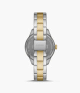 BQ3762 Fossil Reloj para Mujer