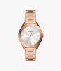 BQ3886 Fossil Dayle Reloj Análogo para Mujer