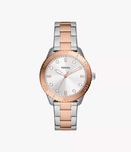 BQ3887 Fossil Dayle Reloj Análogo para Mujer