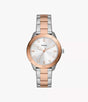 BQ3887 Fossil Dayle Reloj Análogo para Mujer