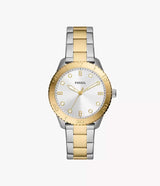 BQ3888 Fossil Dayle Reloj Análogo para Mujer