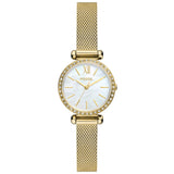 BQ3898 Reloj Fossil Tillie Mini de mujer correa mesh 26mm