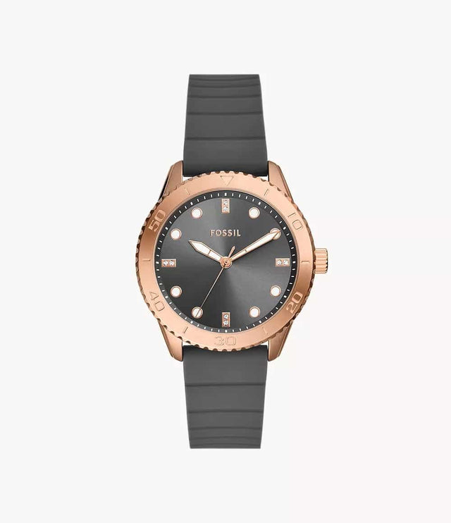 BQ3950 Fossil Dayle Reloj para Mujer