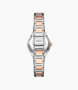 BQ3955 Fossil Eevie Reloj para Mujer