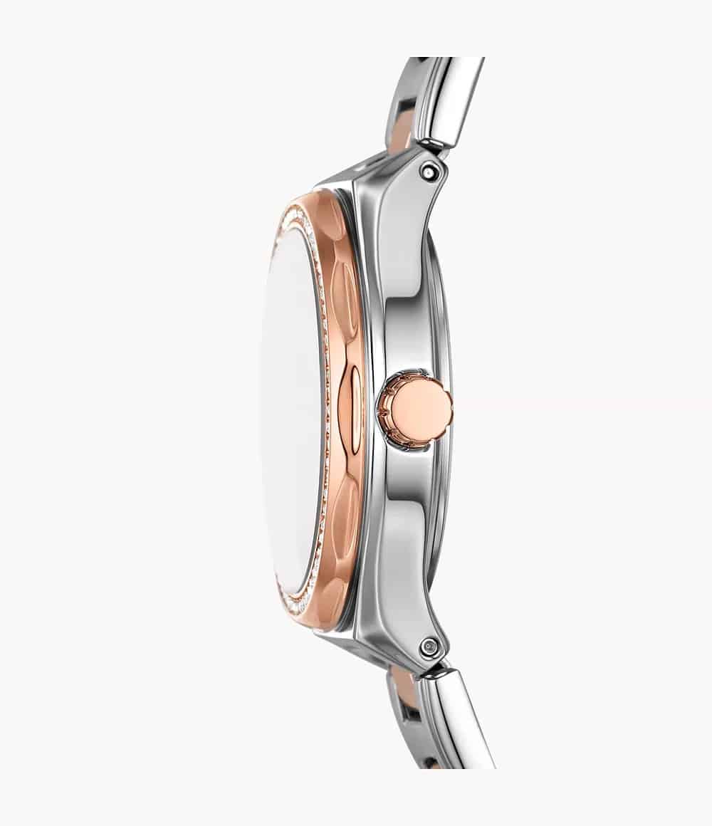 BQ3955 Fossil Eevie Reloj para Mujer