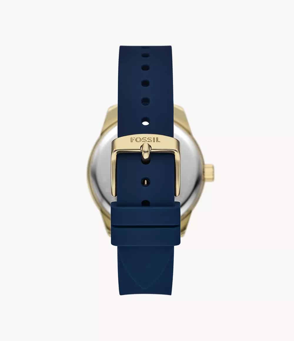 BQ3960 Fossil Dayle Reloj para Mujer