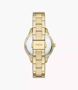 BQ3961 Fossil Rye Reloj para Señorita