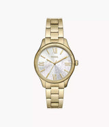 BQ3961 Fossil Rye Reloj para Señorita