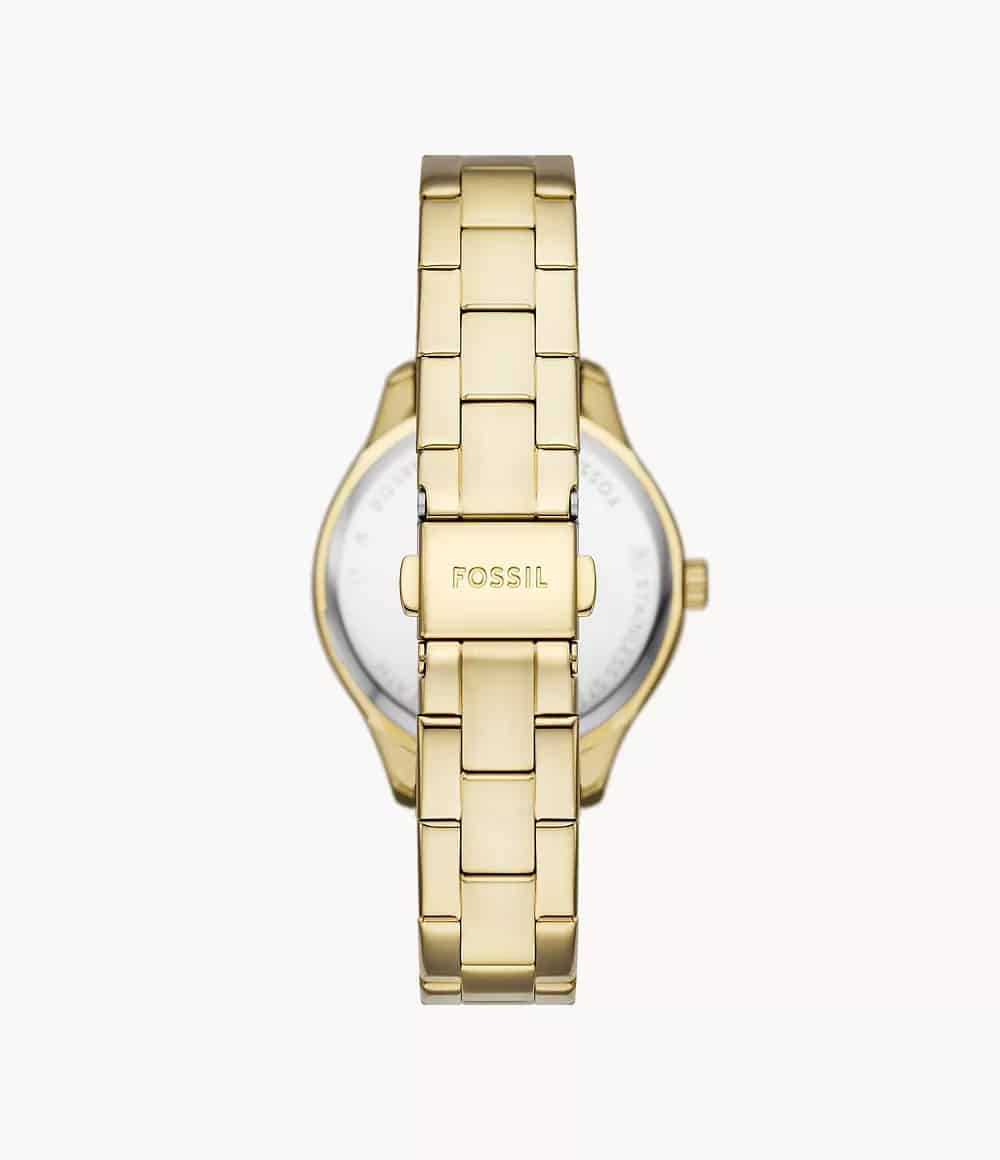 BQ3964 Fossil Rye Reloj para Mujer