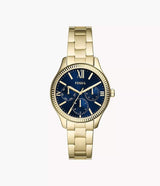 BQ3964 Fossil Rye Reloj para Mujer