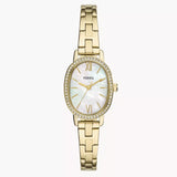 BQ3976 Fossil Penny de dama correa de metal