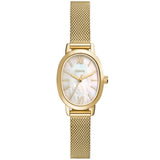 BQ5017 Reloj Fossil Penny de dama correa mesh 23mm