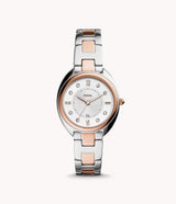 ES5072 Reloj Fossil para Mujer