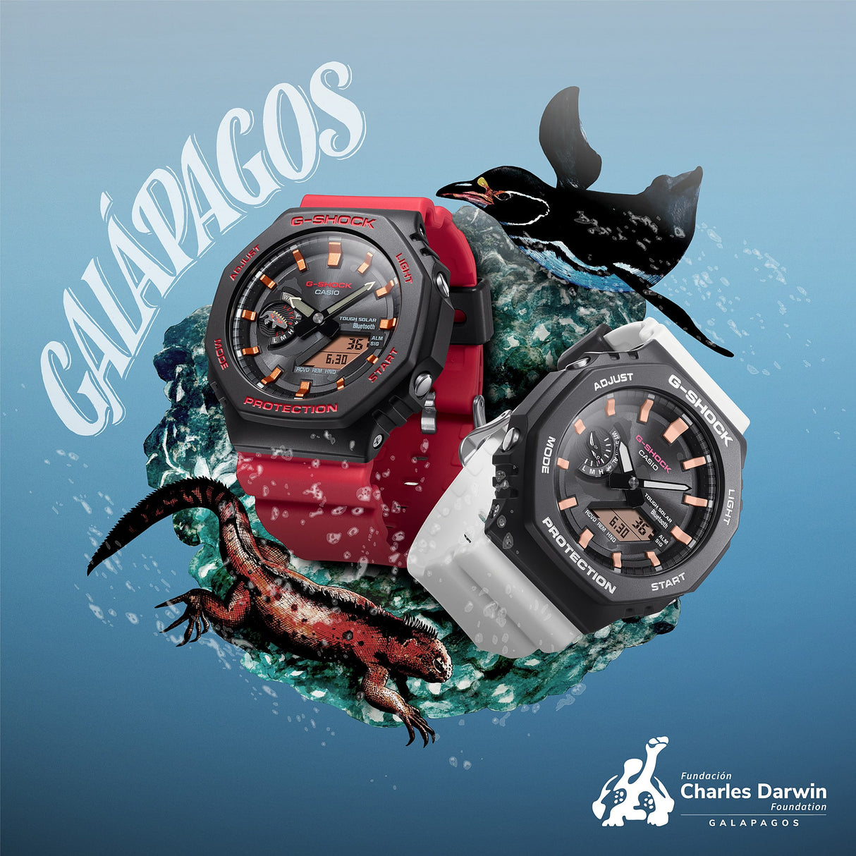 GA-B2100CD-1A4 Reloj G-Shock Galápagos Fundación Charles Darwin de hombre pulsera de resina doble hora