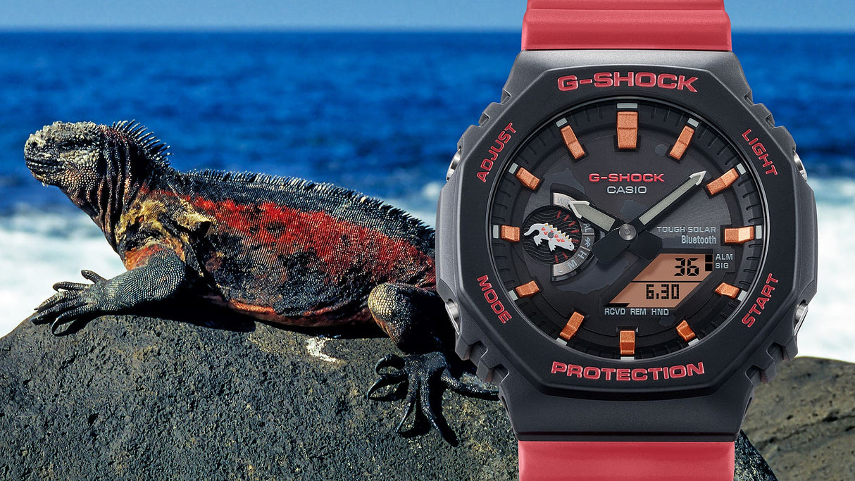 GA-B2100CD-1A4 Reloj G-Shock Galápagos Fundación Charles Darwin de hombre pulsera de resina doble hora
