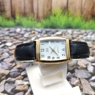 Q881J104Y Reloj QQ para Mujer