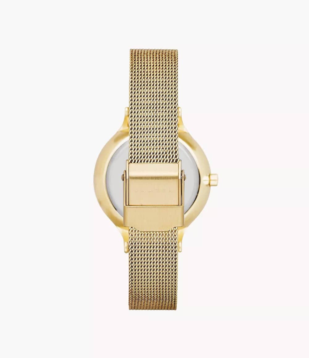 SKW2150 Reloj Skagen para dama correa tipo mesh