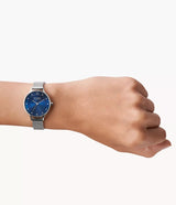 SKW2307 Reloj Skagen para mujer pulsera tipo mesh