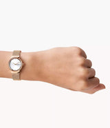 SKW2665 Reloj Skagen para mujer banda tipo mesh