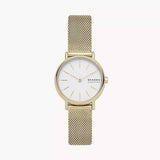 SKW2693 Reloj Skagen para dama correa tipo mesh