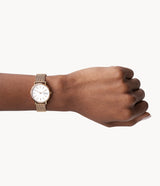 SKW2694 Reloj Skagen para Mujer