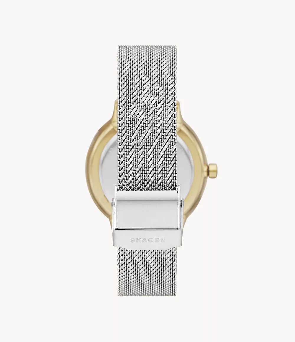 SKW2912 Reloj Skagen para mujer correa mesh