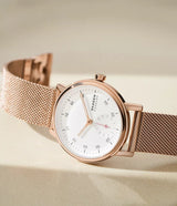 SKW3099 Reloj Skagen para mujer banda mesh