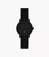 SKW3100 Reloj Skagen para señorita pulsera mesh