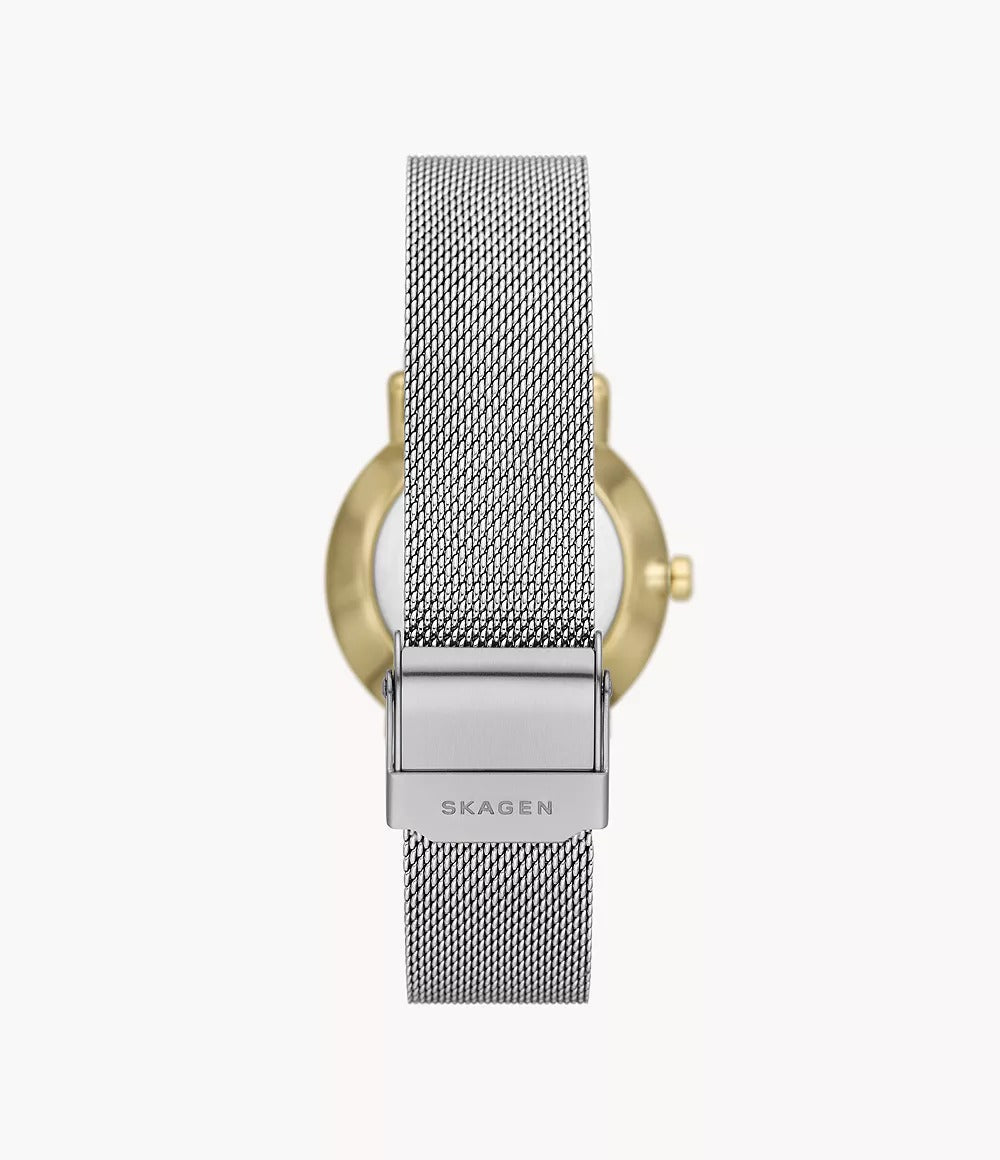 SKW3101 Reloj Skagen para dama pulsera mesh