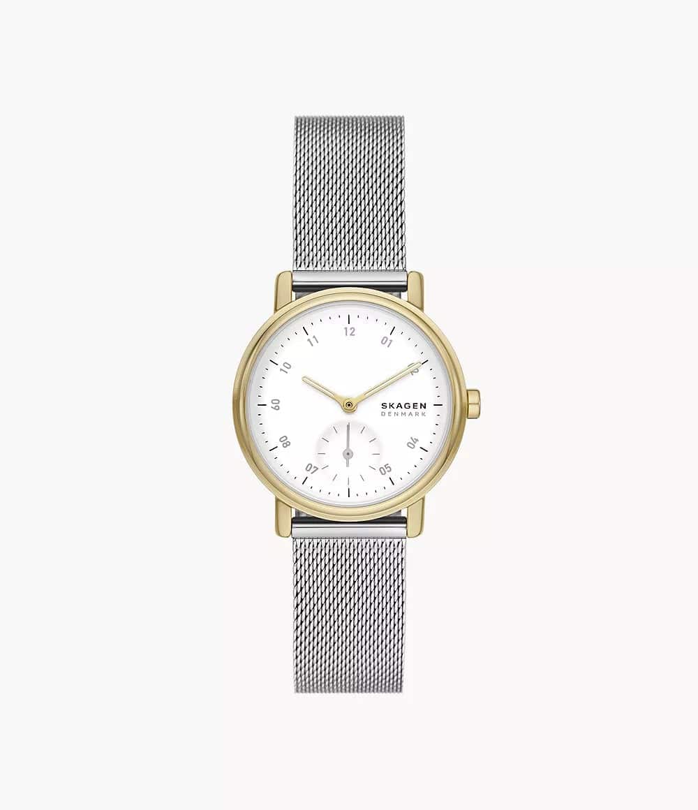 SKW3101 Reloj Skagen para dama pulsera mesh