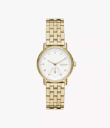 SKW3102 Reloj Skagen para mujer correa de metal