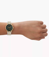 SKW3122 Reloj Skagen para dama banda de metal