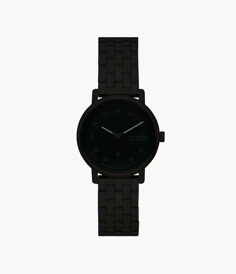 SKW3122 Reloj Skagen para dama banda de metal