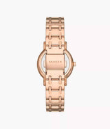 SKW3125 Reloj Skagen para mujer pulsera de metal inoxidable