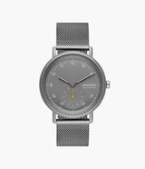 SKW6891 Reloj Skagen para hombre banda mesh