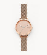 SKW7205 Reloj Skagen para Mujer